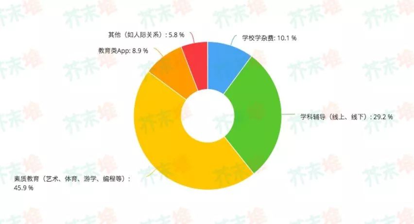 消费项目.jpg